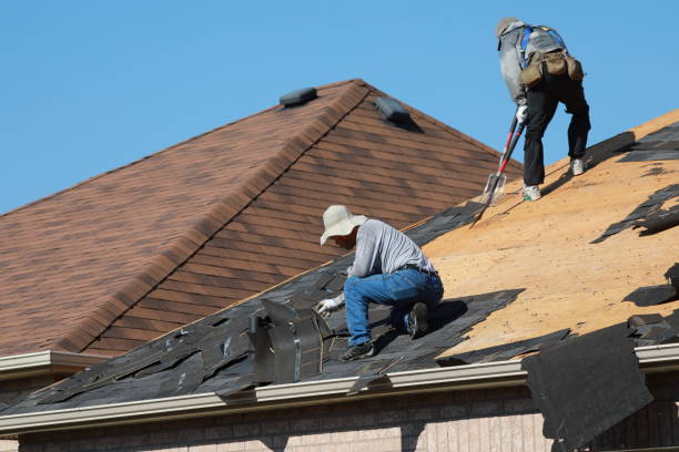 Best Roof Maintenance and Cleaning  in Tremont, IL